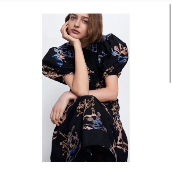 NWT Zara Elastic Trim Embroidered Dress S - Picture 2 of 9